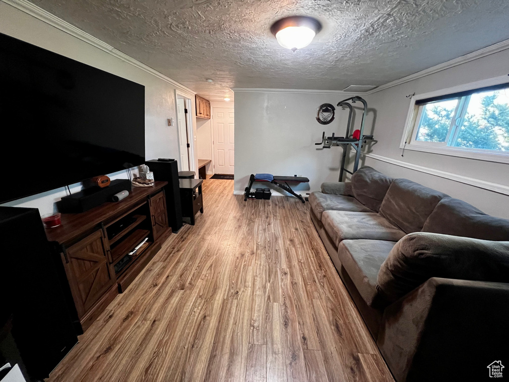 Living area featuring light wood-type flooring, a textured ceiling, and crown molding