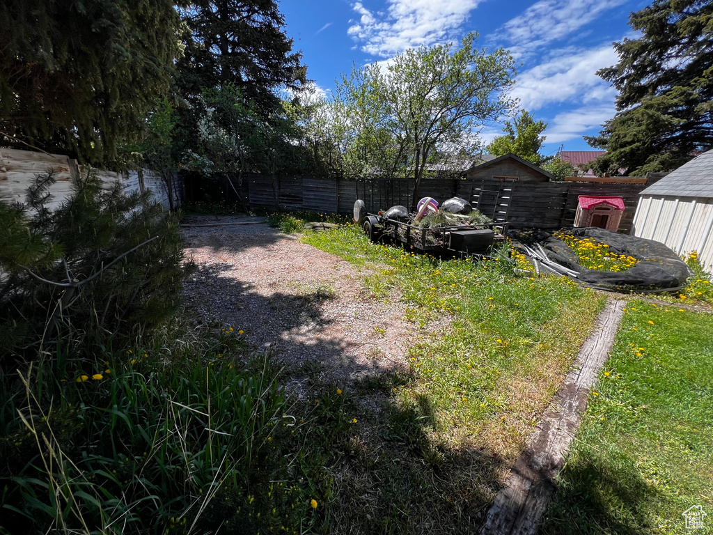 View of yard