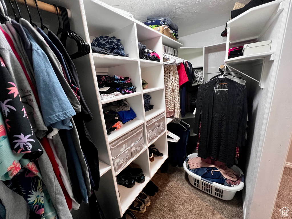 Walk in closet featuring carpet floors