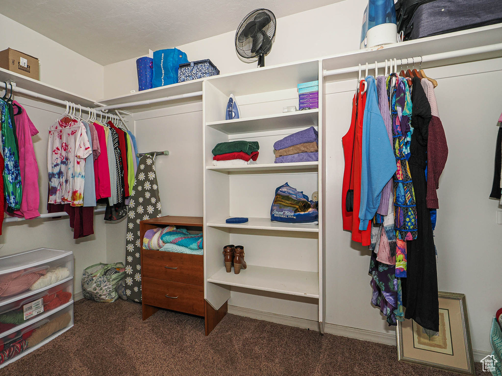 Walk in closet featuring carpet