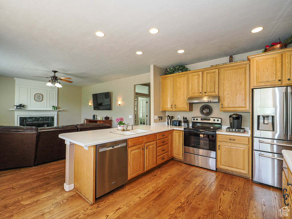 Kitchen featuring appliances with stainless steel finishes, under cabinet range hood, a sink, open floor plan, and ceiling fan