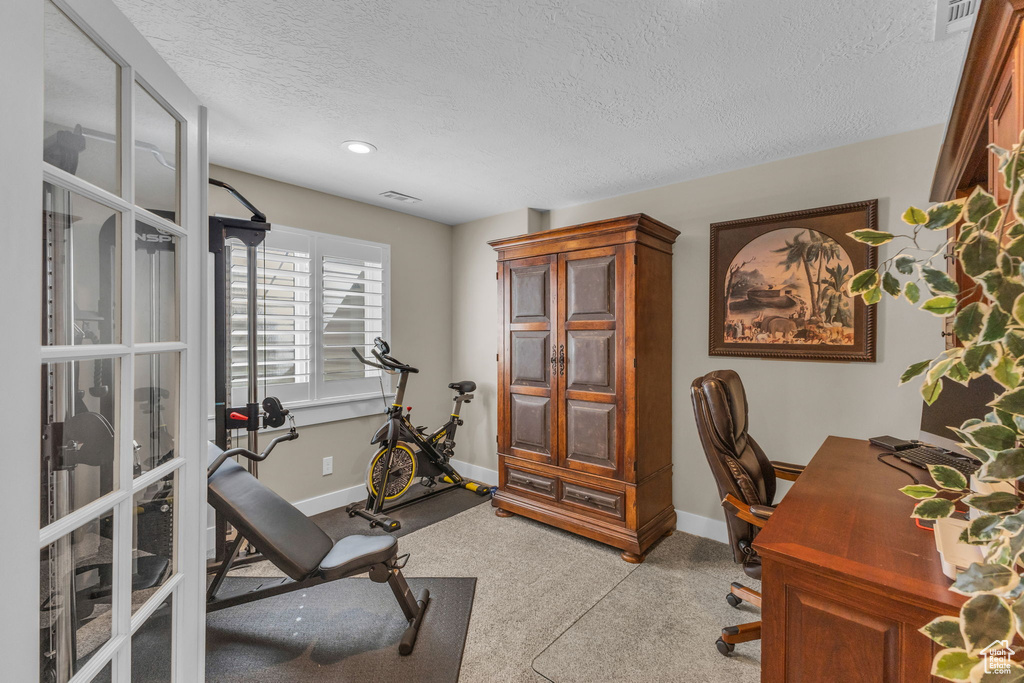 Office space with baseboards, a textured ceiling, and light colored carpet