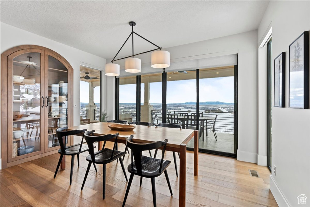 Dining space with light wood-style floors, healthy amount of natural light, ceiling fan, and baseboards