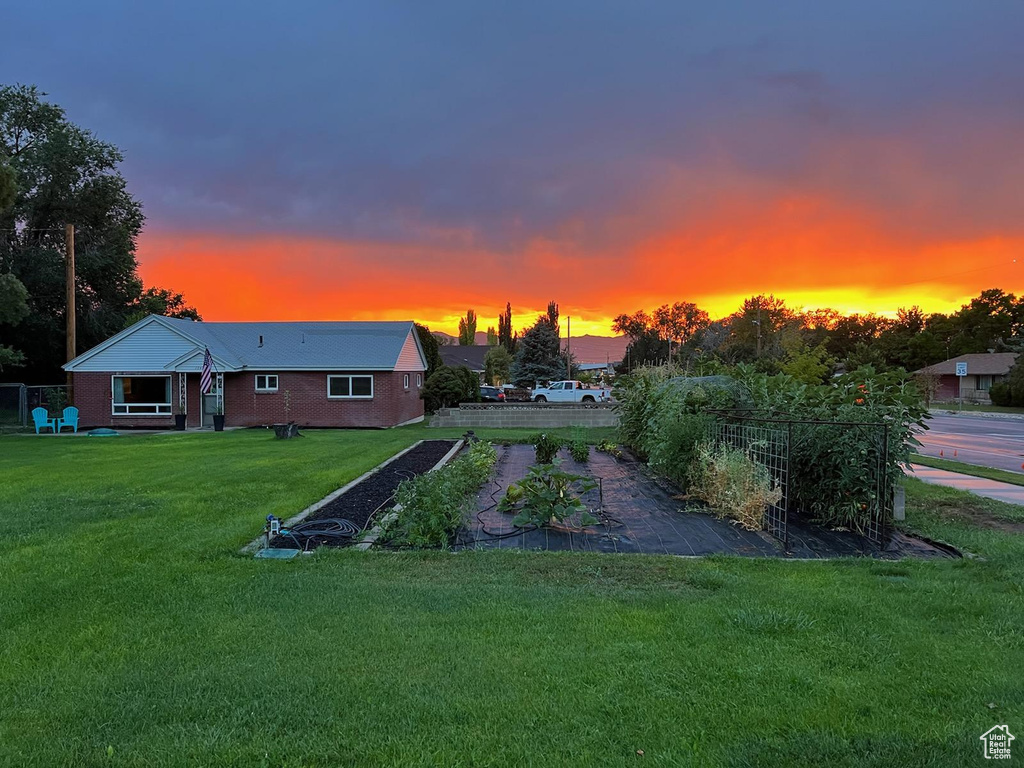 View of yard at dusk
