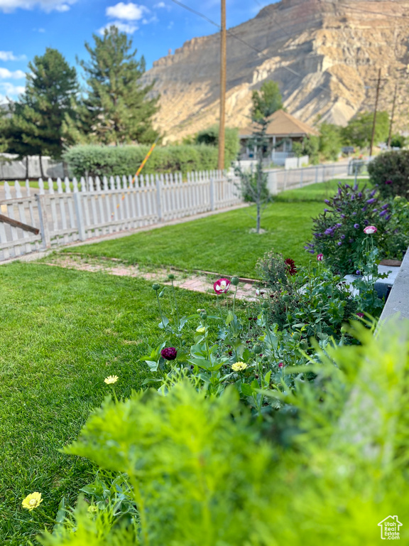 View of yard featuring a mountain view