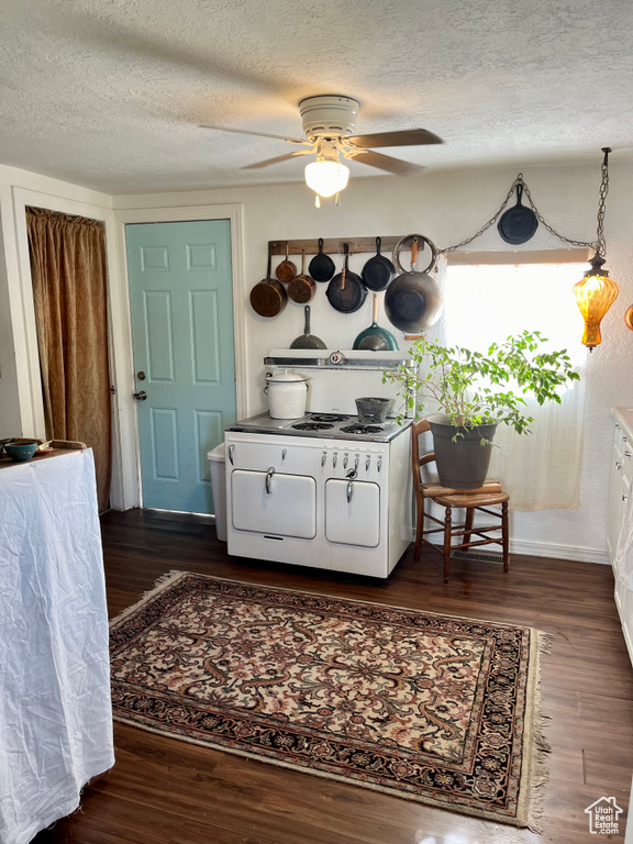 Foyer featuring ceiling fan, a textured ceiling, dark wood-type flooring, and baseboards