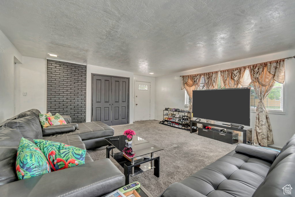 Living area with a textured ceiling and carpet flooring