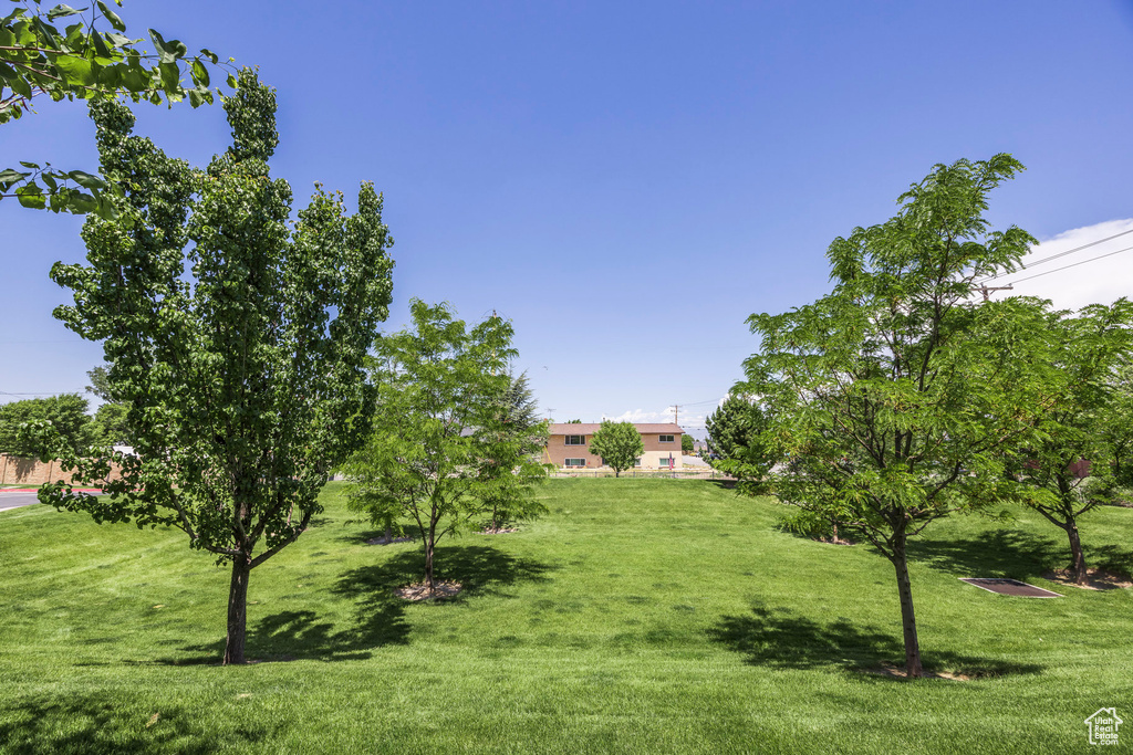 View of green lawn