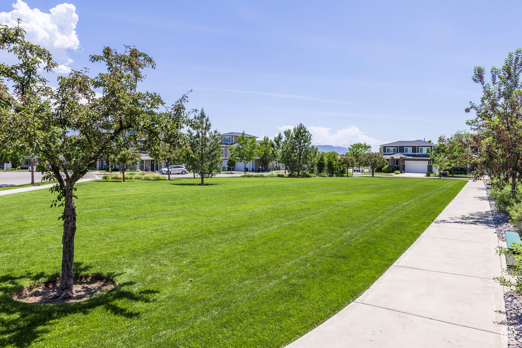 View of green lawn