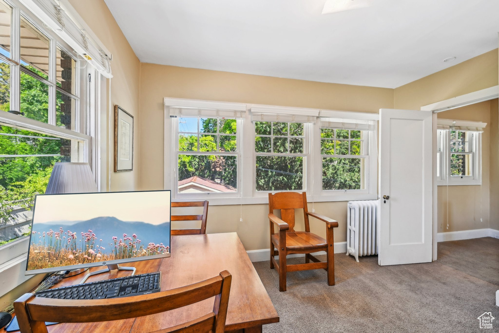 Living area featuring radiator heating unit, carpet, and baseboards