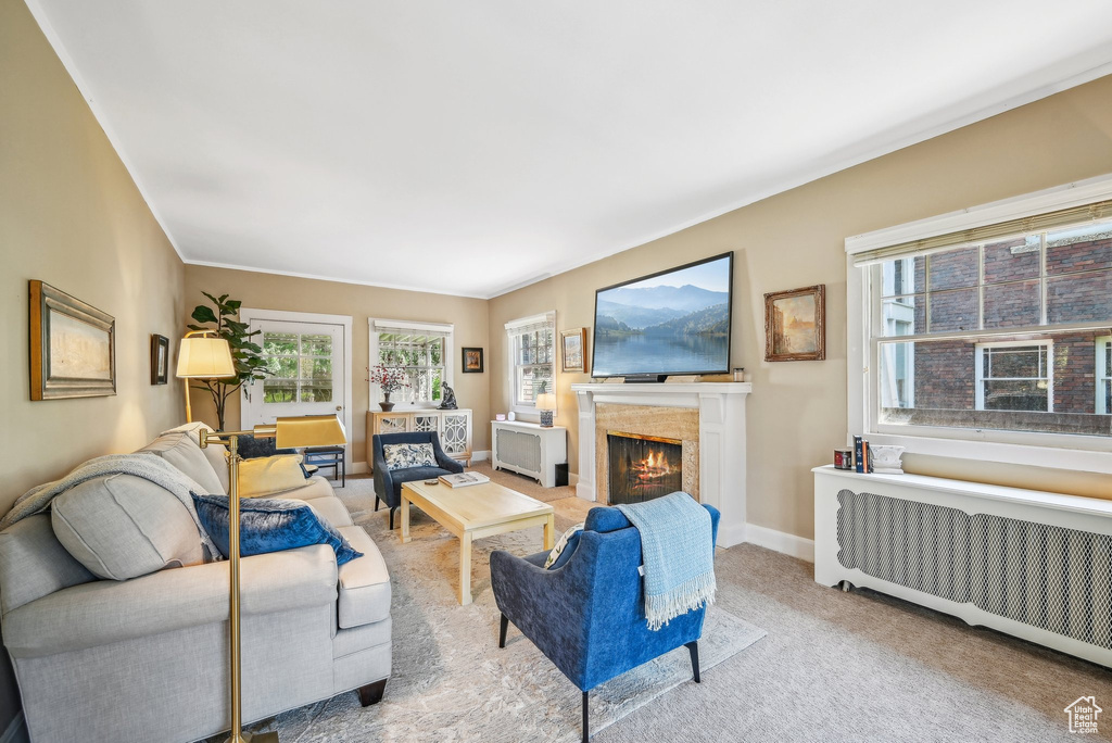 Living room with radiator heating unit, a lit fireplace, light colored carpet, and baseboards