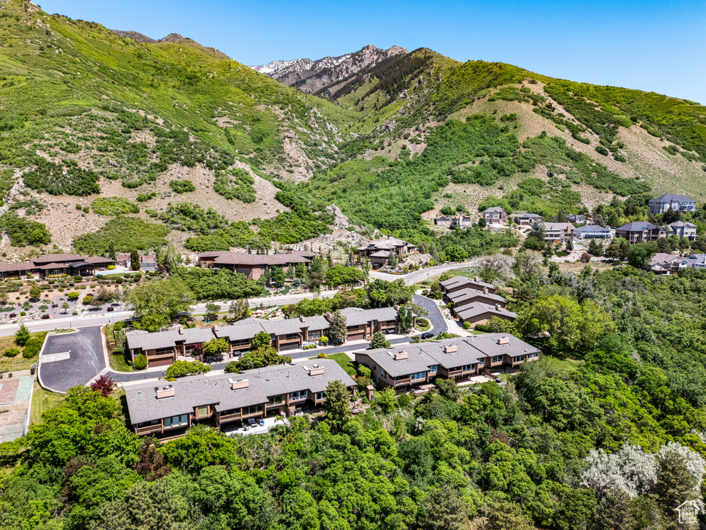 View of mountain background