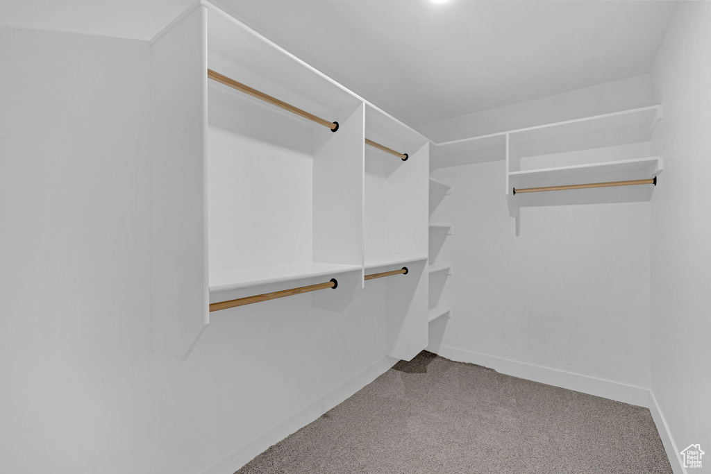 Spacious closet with carpet floors