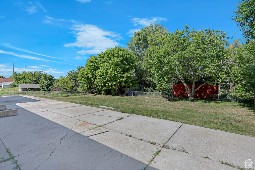 View of grassy yard