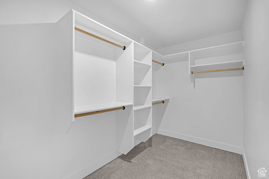 Walk in closet featuring carpet flooring
