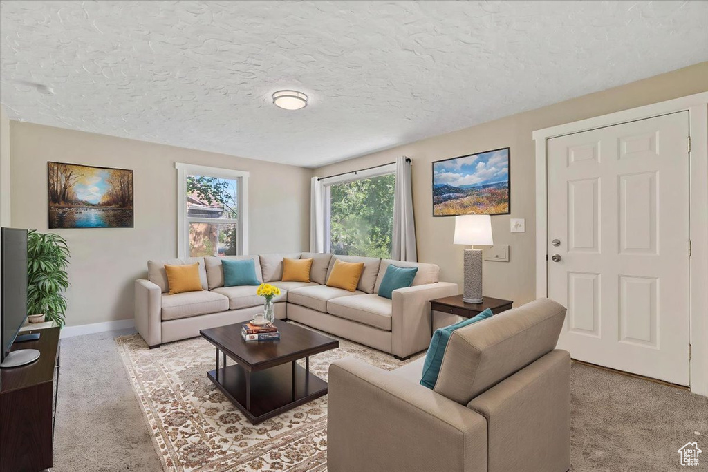 Living area featuring light carpet, baseboards, and a textured ceiling