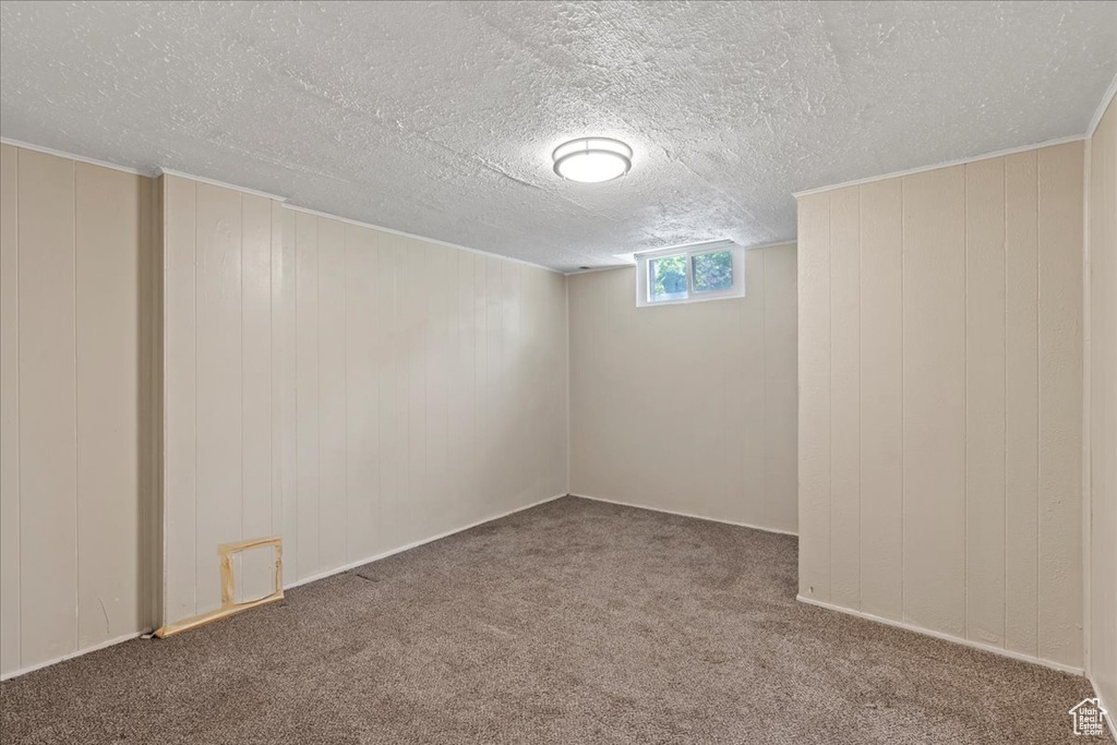 Below grade area featuring carpet floors