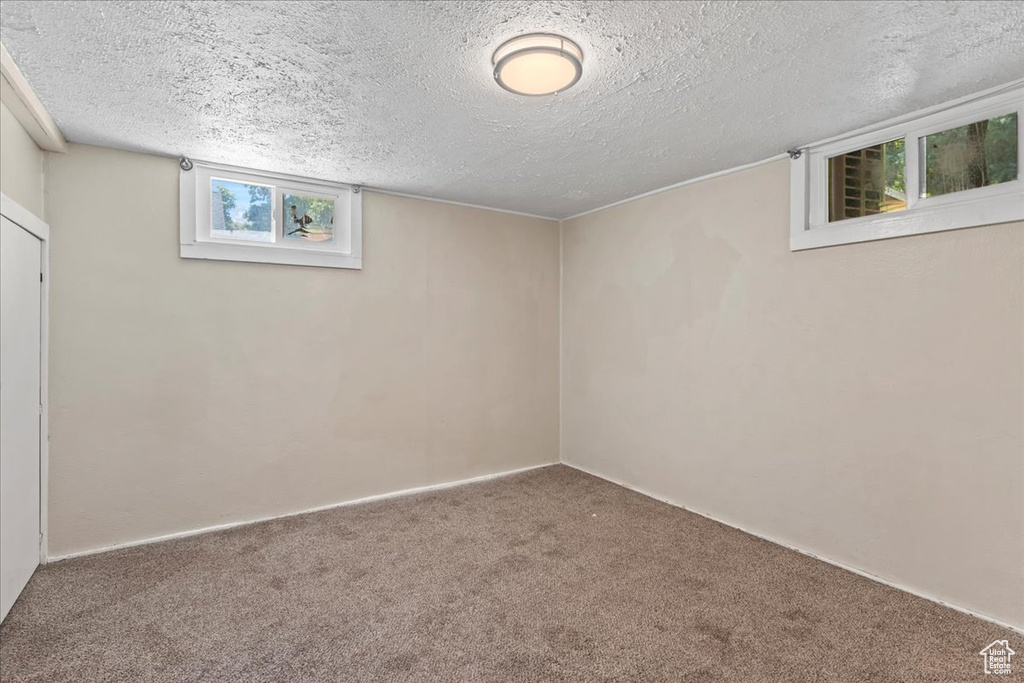 Below grade area with carpet flooring and a textured ceiling