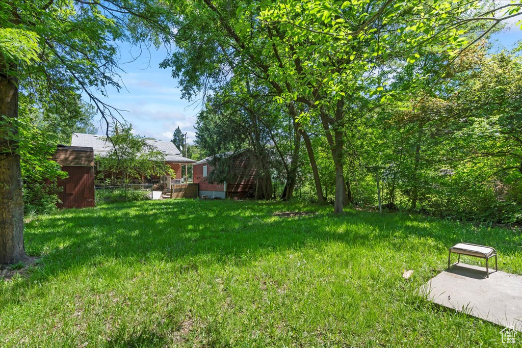 View of grassy yard