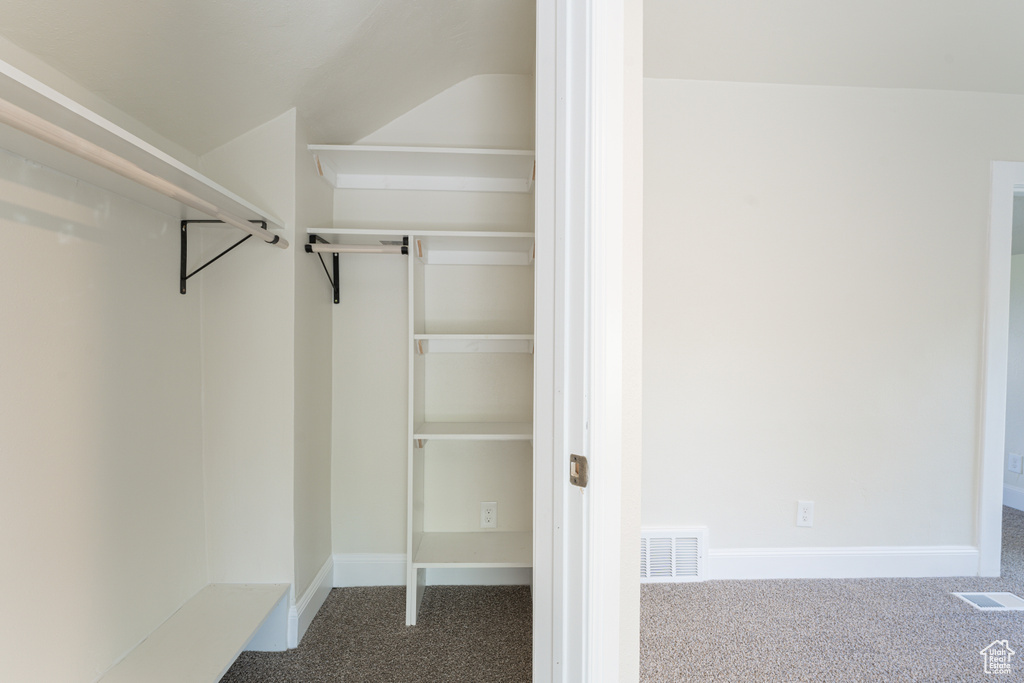 Walk in closet with carpet flooring