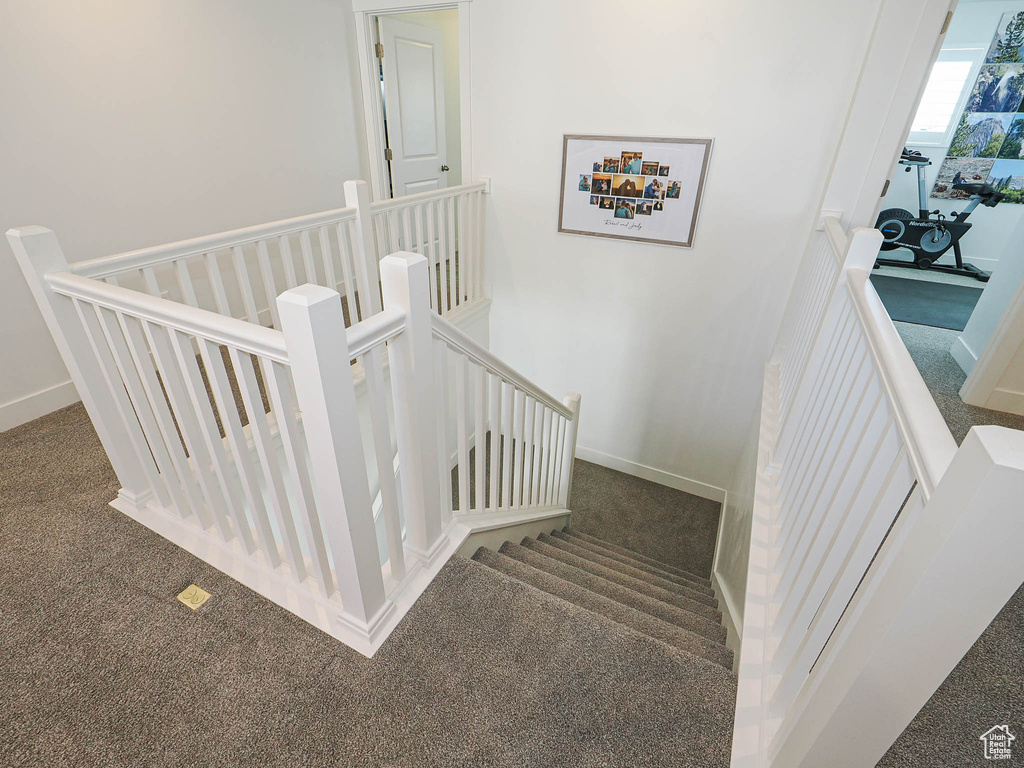 Staircase featuring carpet flooring