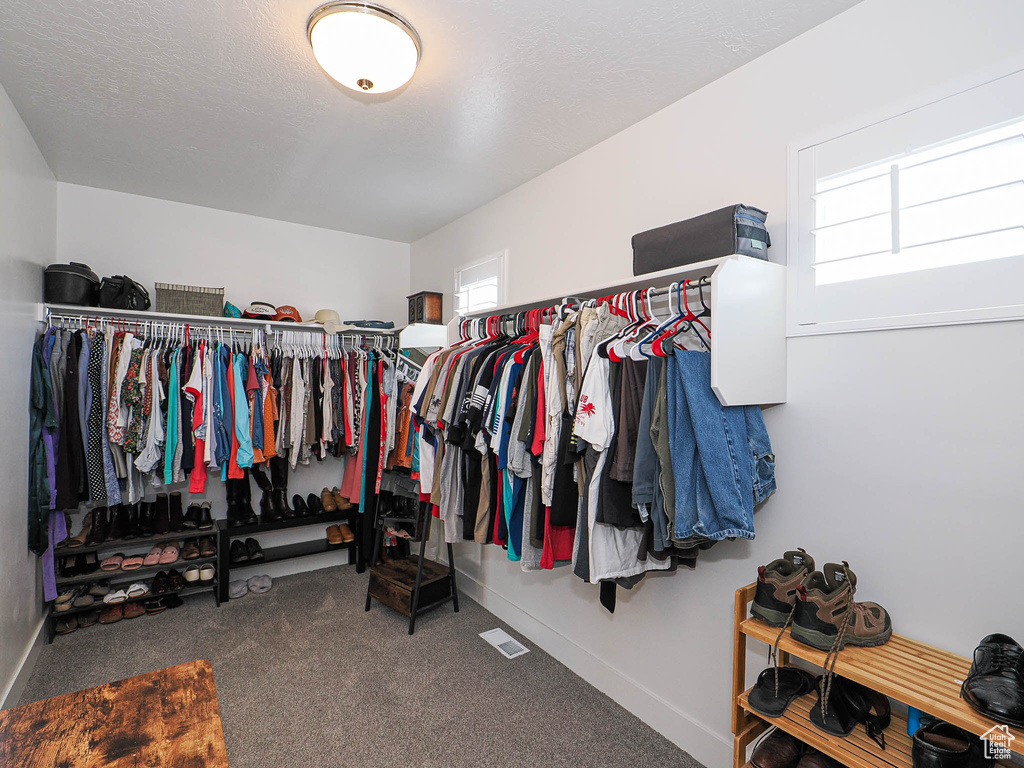 Spacious closet with carpet