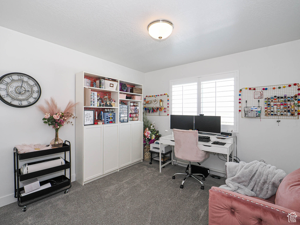 Home office with carpet floors