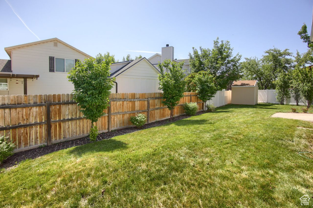 View of yard
