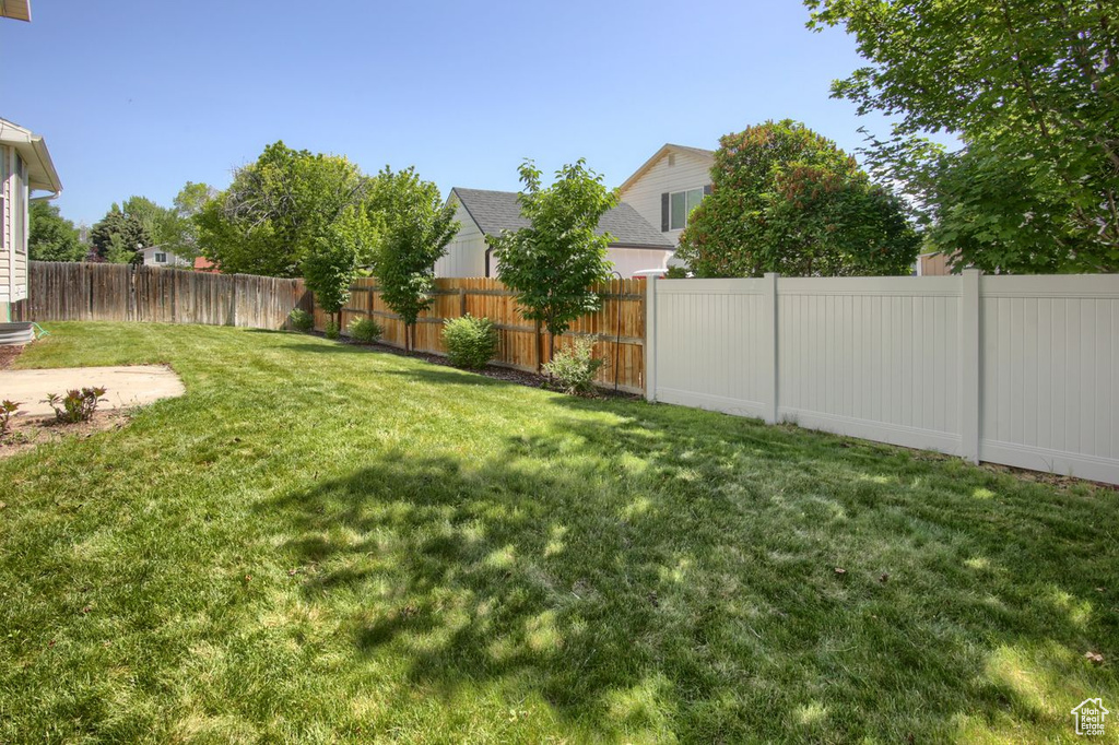 View of yard