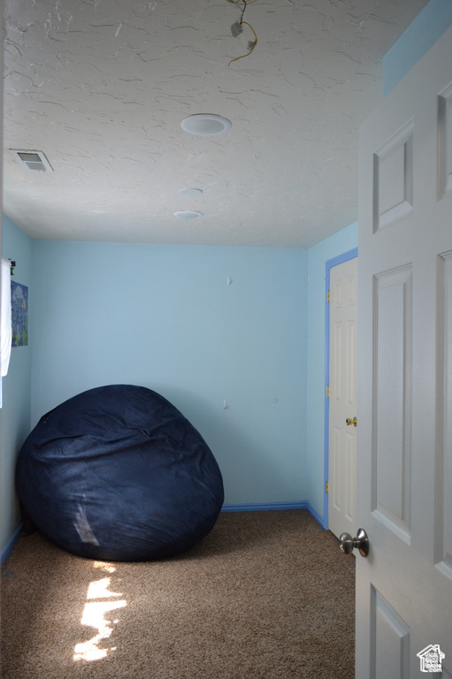 Miscellaneous room with carpet, baseboards, and a textured ceiling