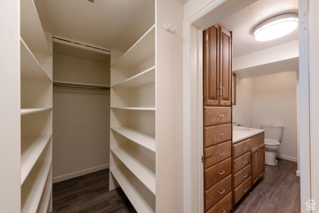 Spacious closet featuring dark wood-type flooring and a sink