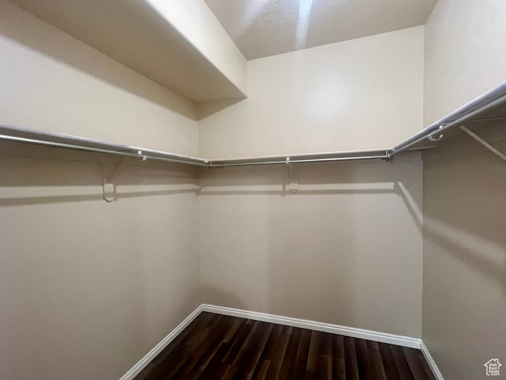 Spacious closet featuring dark wood-style floors