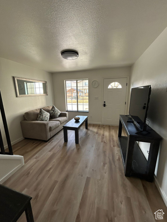 Living room with light wood finished floors, healthy amount of natural light, a textured ceiling, and baseboards