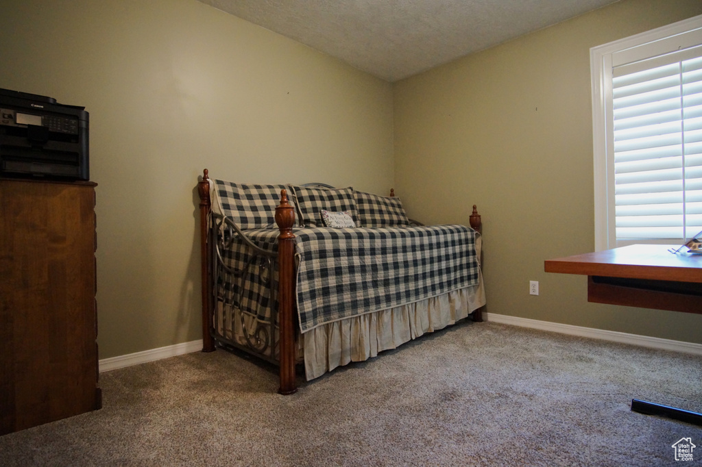 Bedroom featuring carpet floors, baseboards, and a textured ceiling