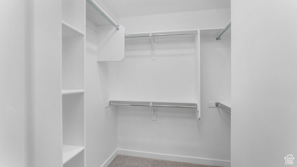 Walk in closet with carpet floors