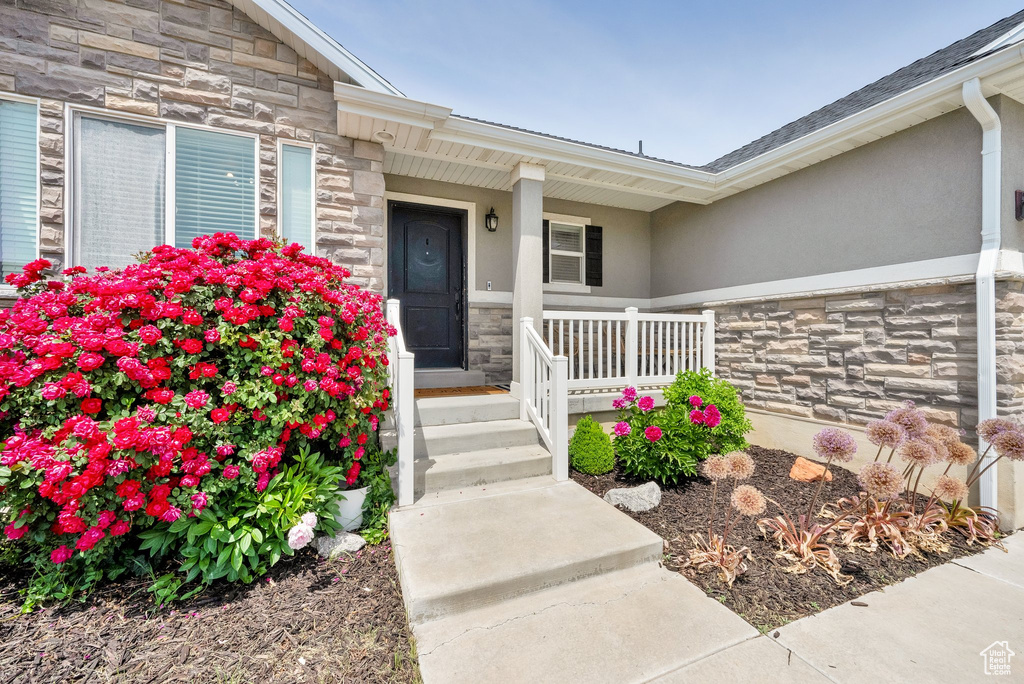 Property entrance with stone siding, a porch, and stucco siding