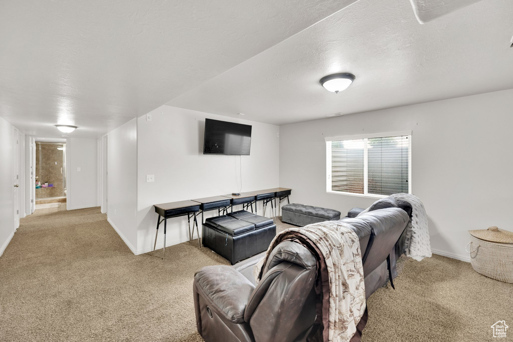 Carpeted living room with baseboards and a textured ceiling