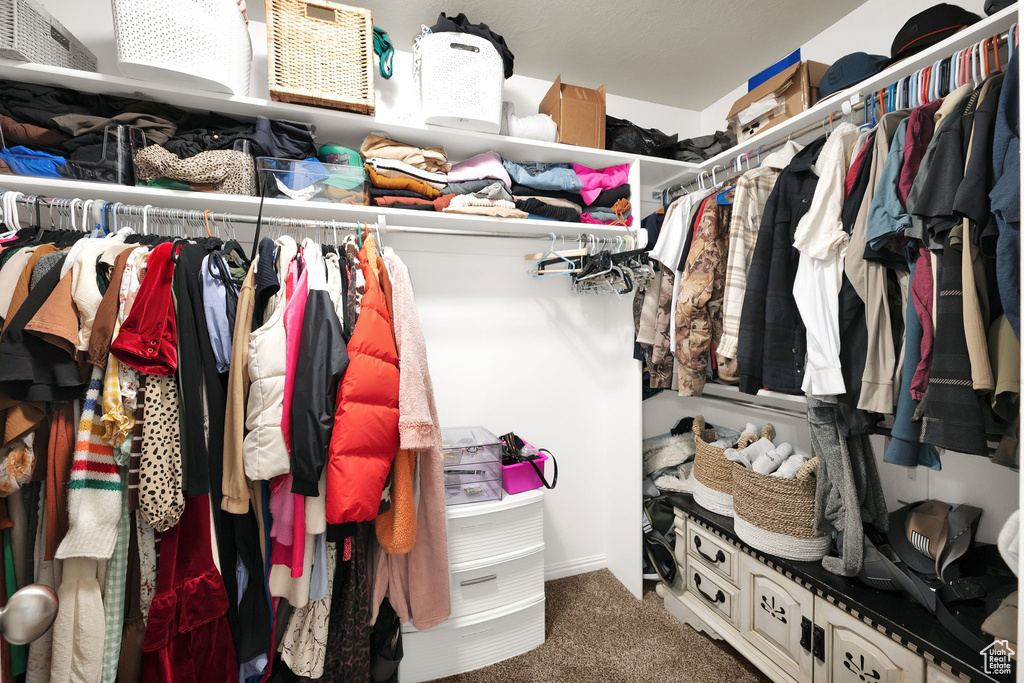 Spacious closet featuring carpet flooring