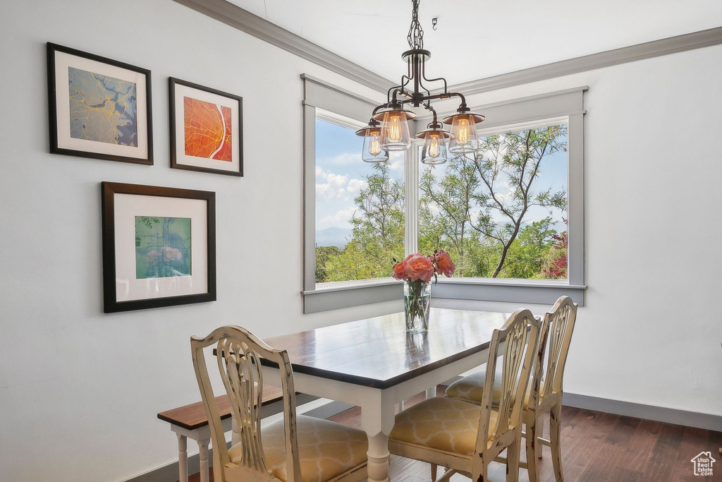 Dining room with a chandelier, baseboards, plenty of natural light, and dark wood-style floors