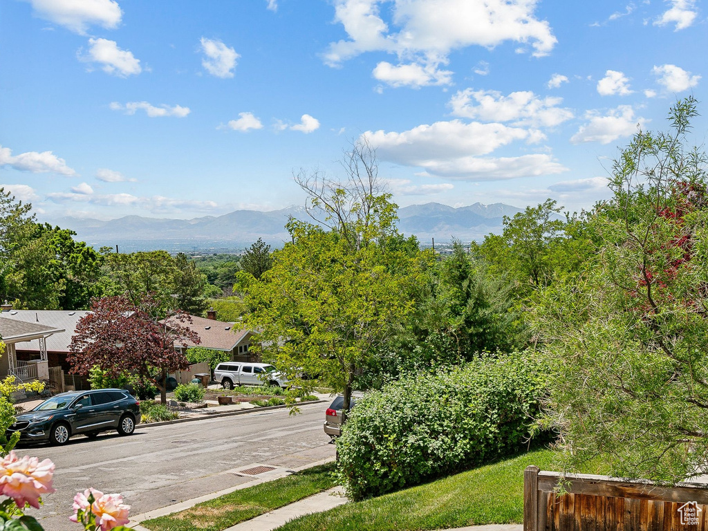 Mountain view