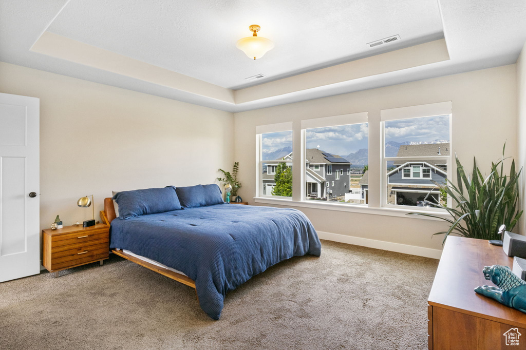 Carpeted bedroom with a tray ceiling and baseboards