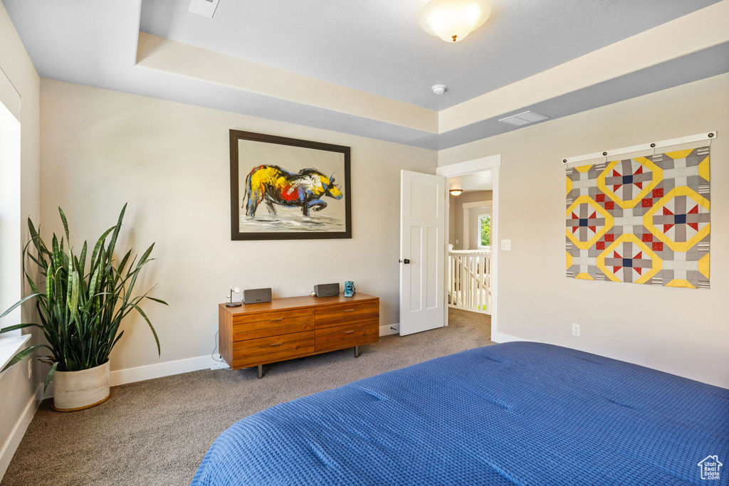 Bedroom featuring carpet flooring, baseboards, and a tray ceiling