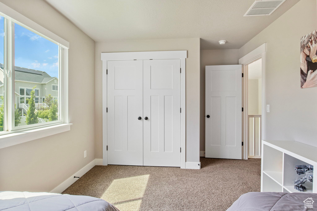 Bedroom featuring multiple windows, carpet, and a closet