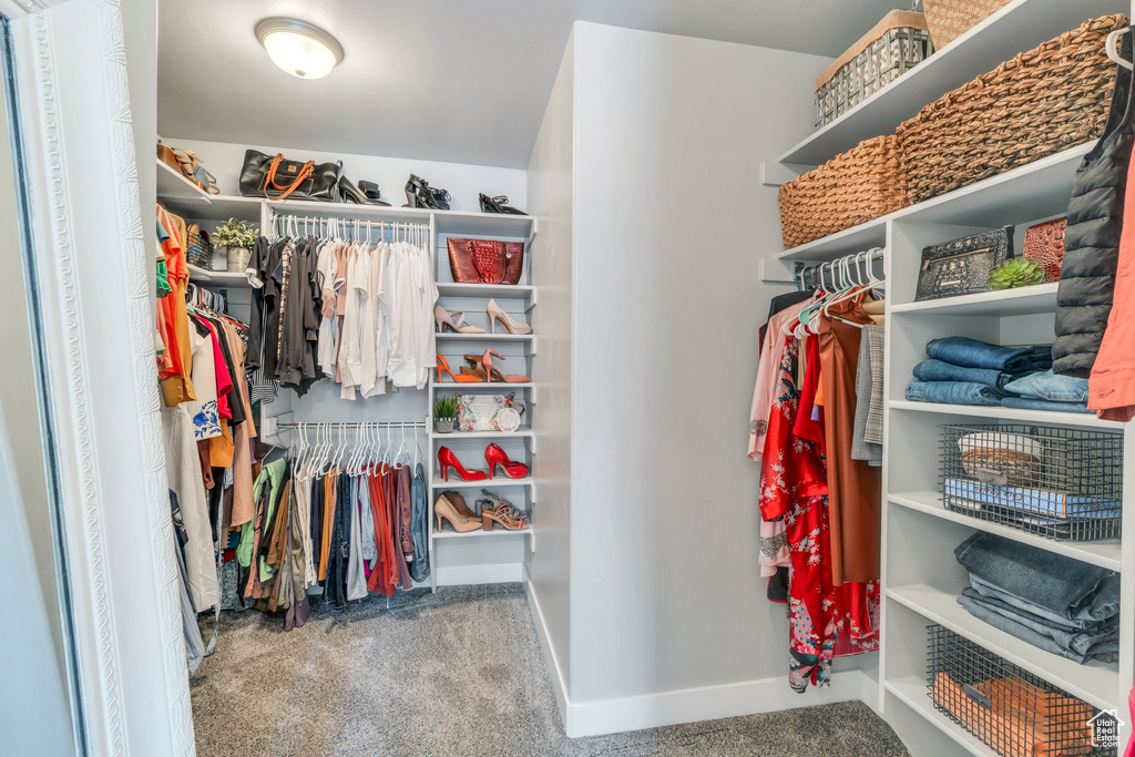 Spacious closet featuring carpet