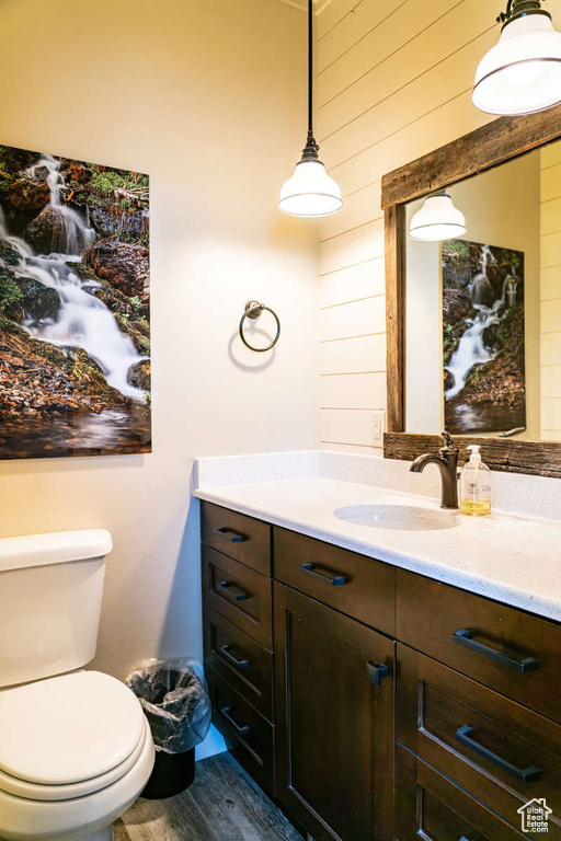 Bathroom with vanity, wood finished floors, and toilet