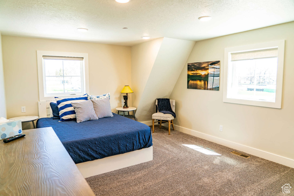 Carpeted bedroom featuring a textured ceiling, baseboards, and recessed lighting
