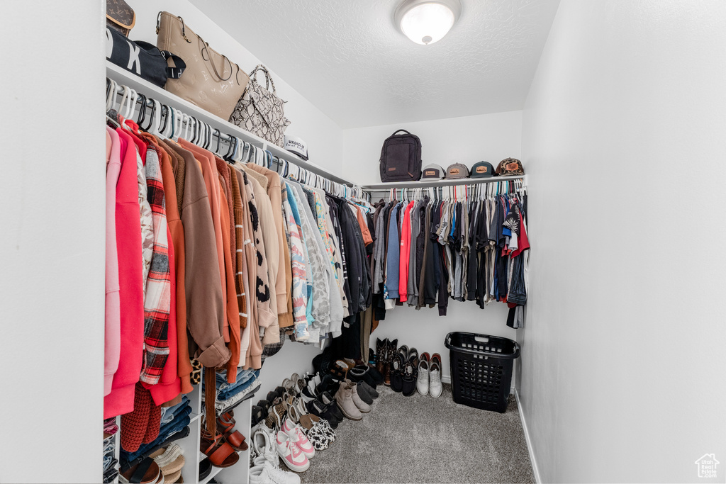 Spacious closet with carpet flooring