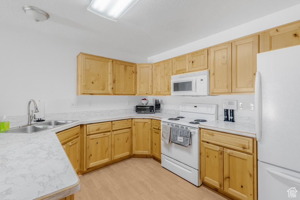 Kitchen featuring white appliances, light brown cabinetry, a sink, light wood finished floors, and a textured ceiling
