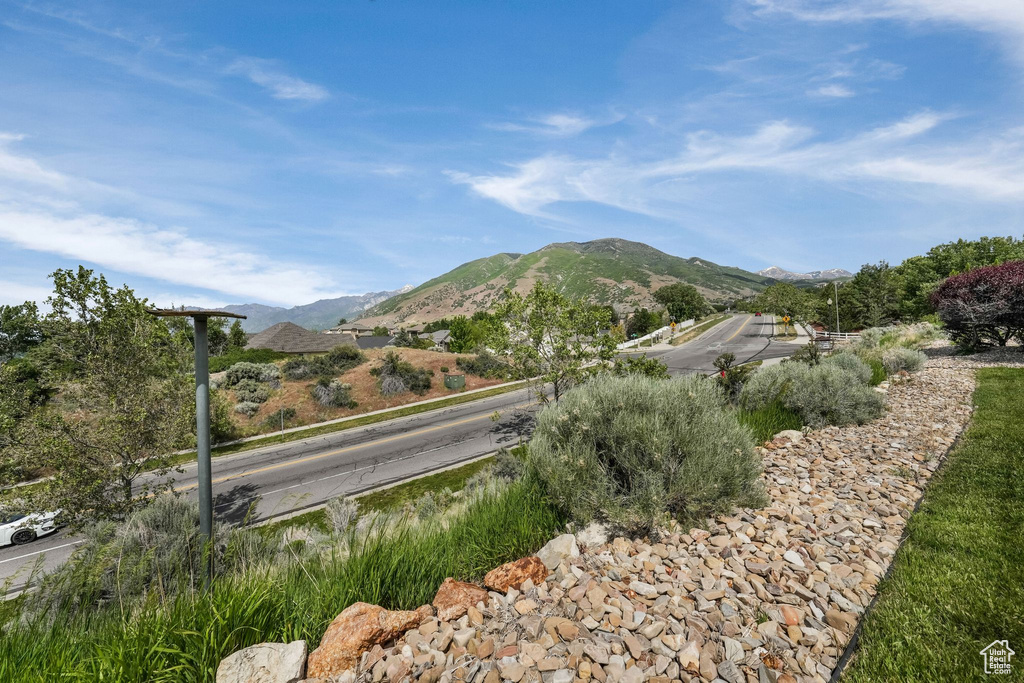 Mountain view