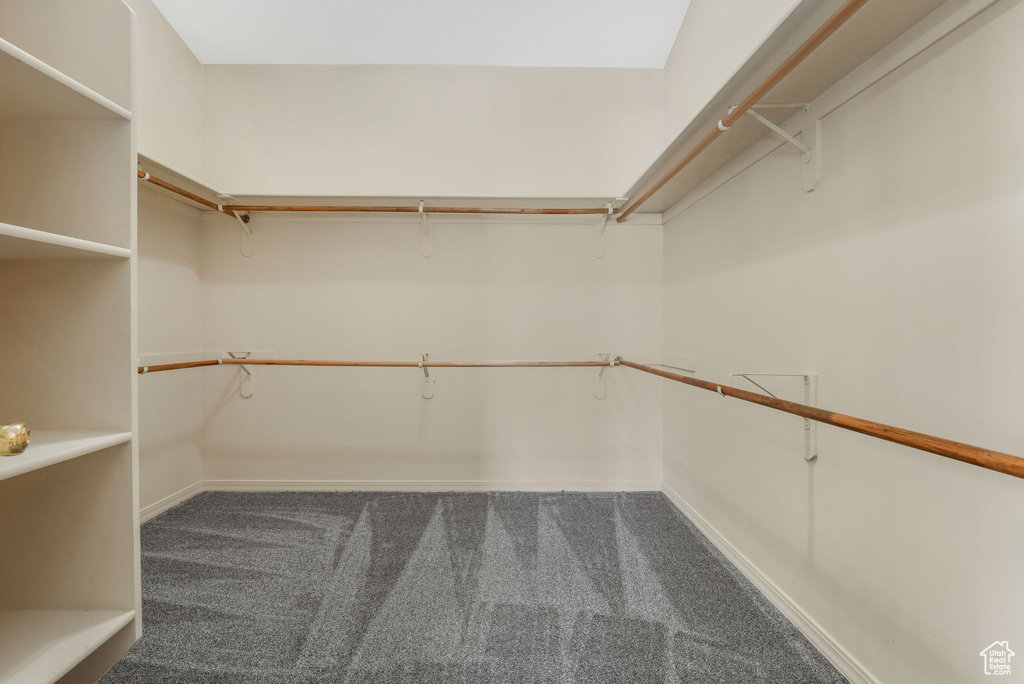 Spacious closet featuring carpet flooring